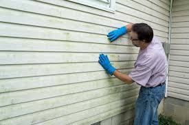 Affordable Siding Repair and Maintenance Services in Alexandria, VA